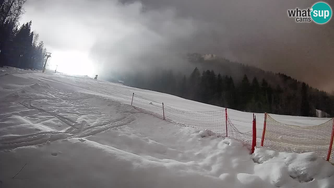 Comprensorio sciistico Kranjska Gora | Brsnina