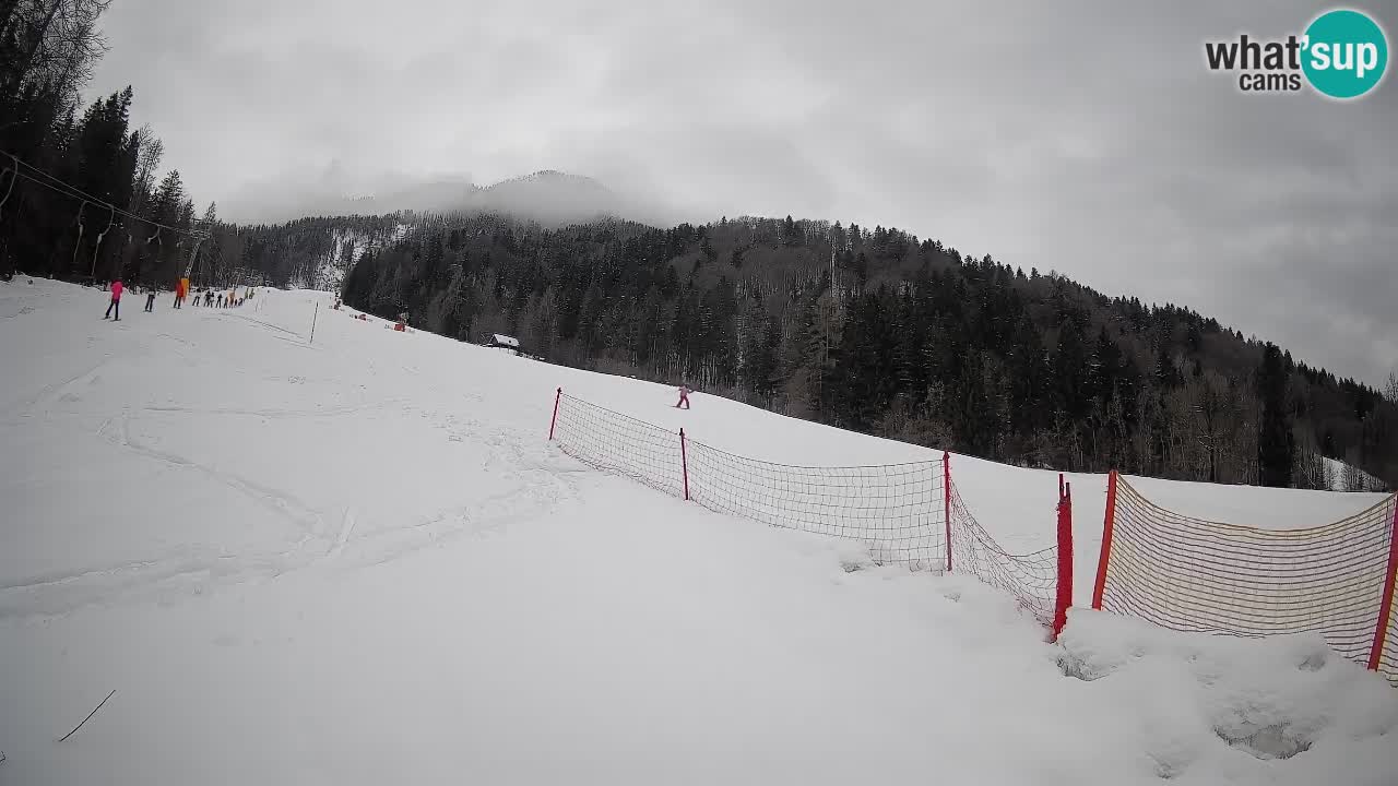 RTC Kranjska Gora | Brsnina
