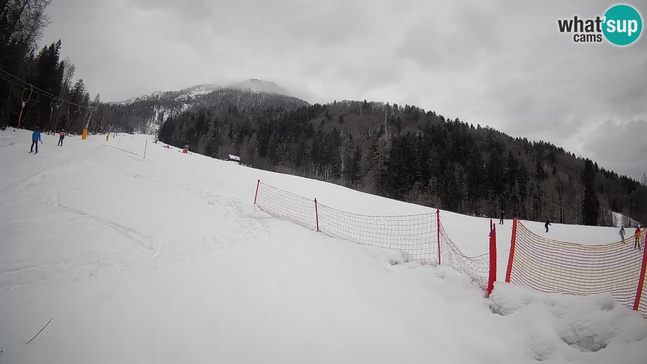 RTC Skigebiet Kranjska Gora | Brsnina