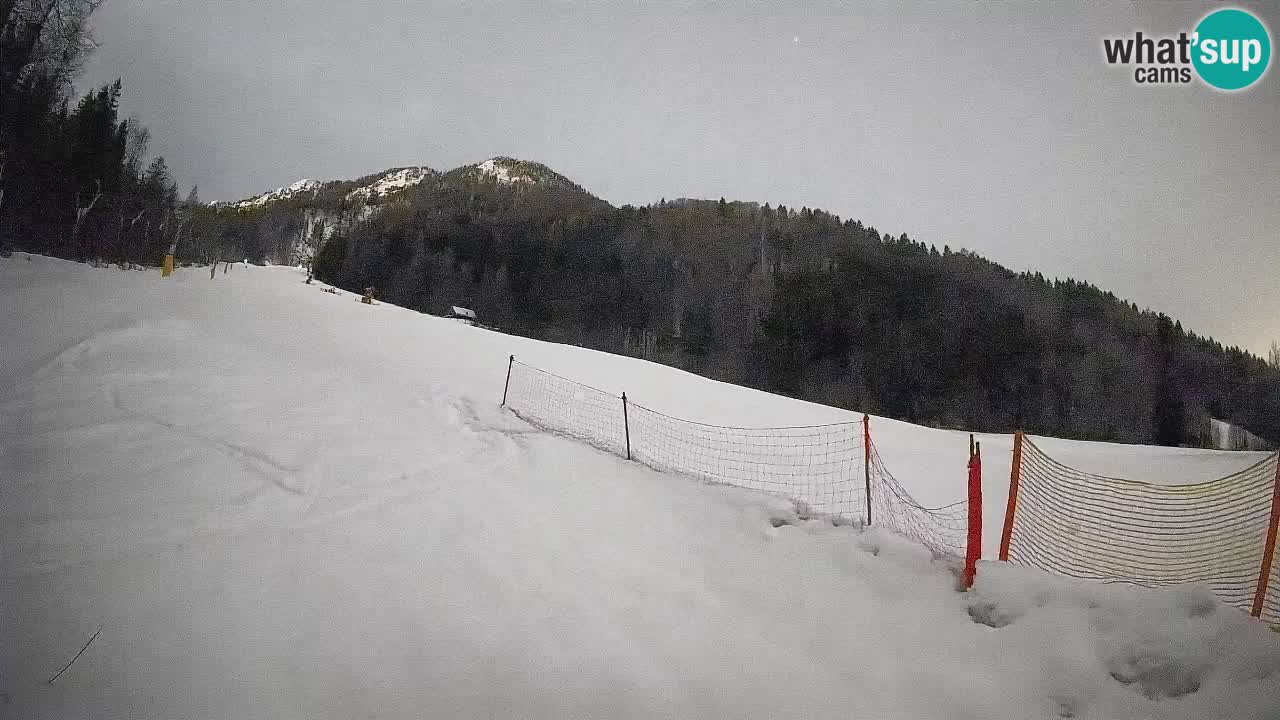 RTC Kranjska Gora | Brsnina