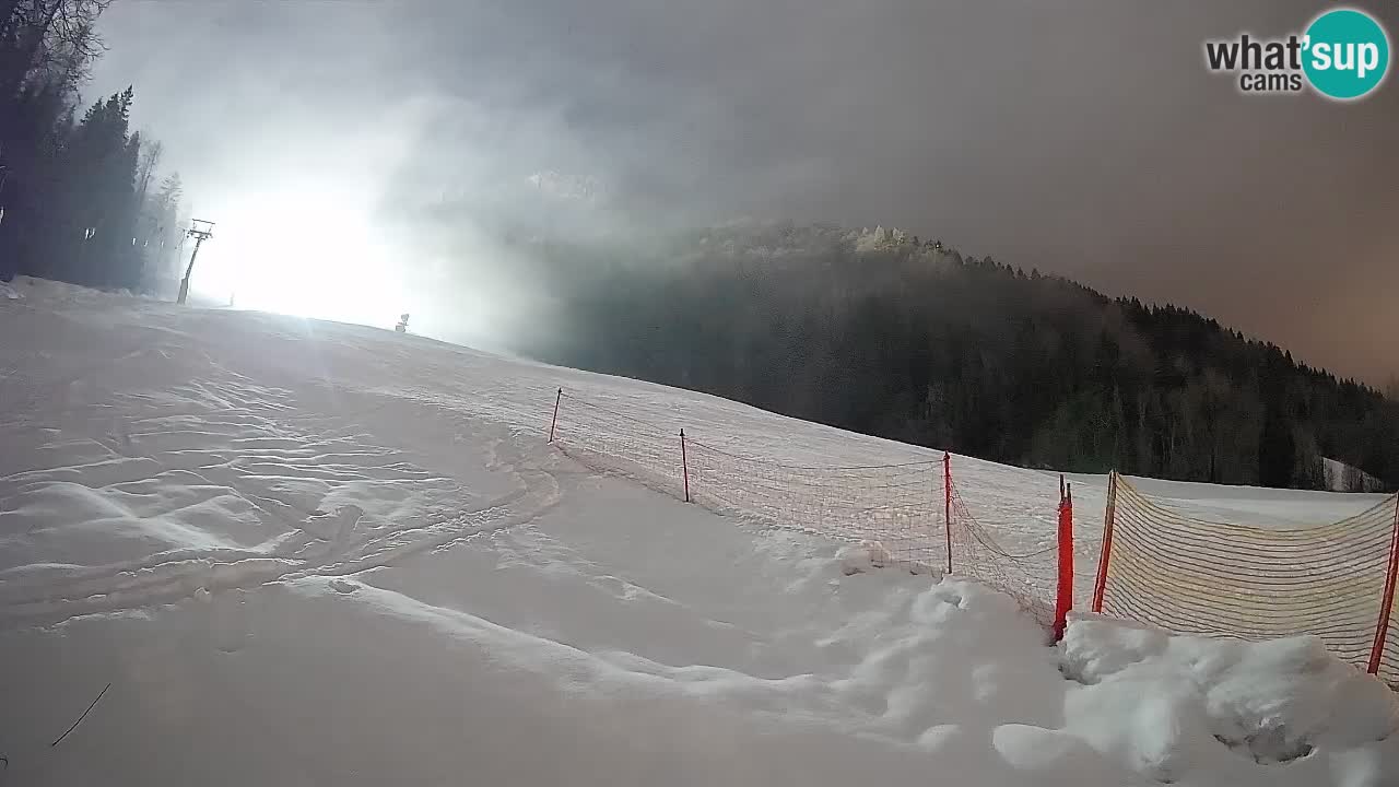 Kranjska Gora Station de ski | Brsnina