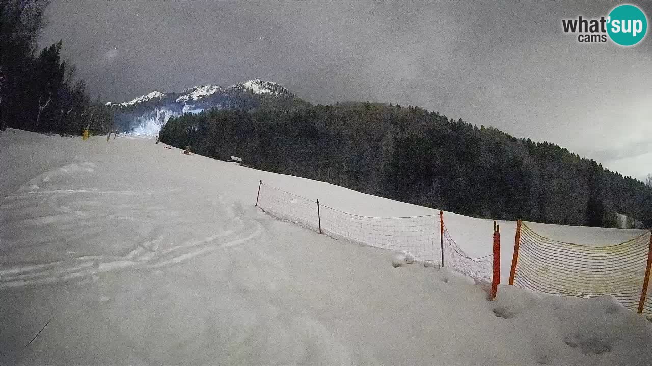 Ski Kranjska Gora | Brsnina