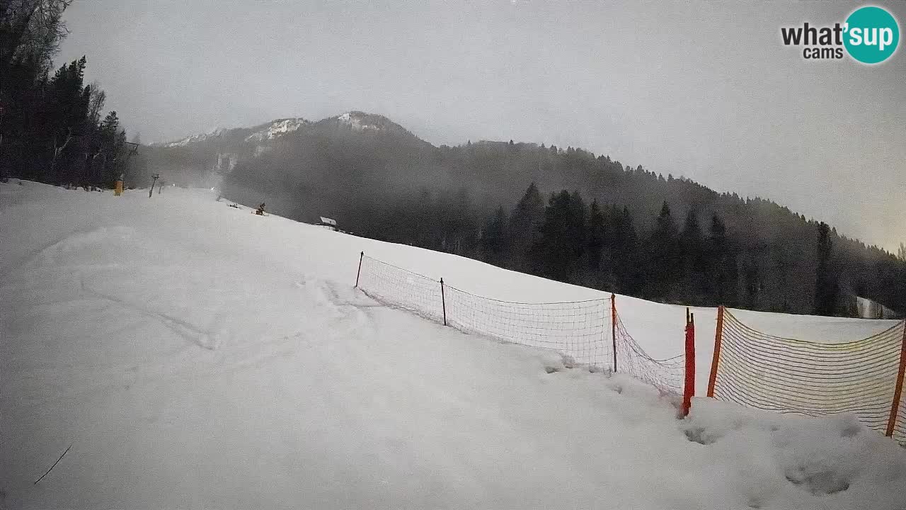 Kranjska Gora SKIJANJE | Brsnina