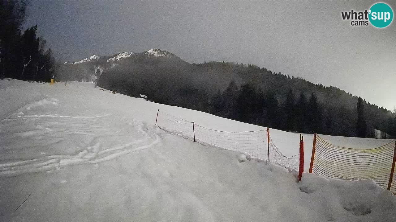 Kranjska Gora Station de ski | Brsnina