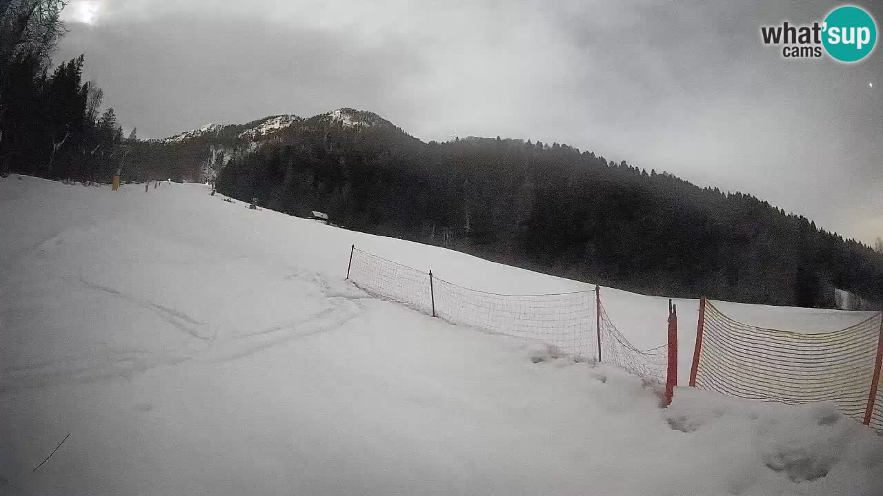 Kranjska Gora SKIJANJE | Brsnina