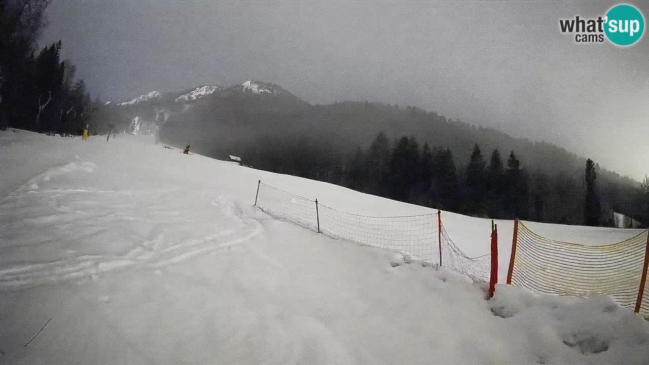 Ski Kranjska Gora | Brsnina