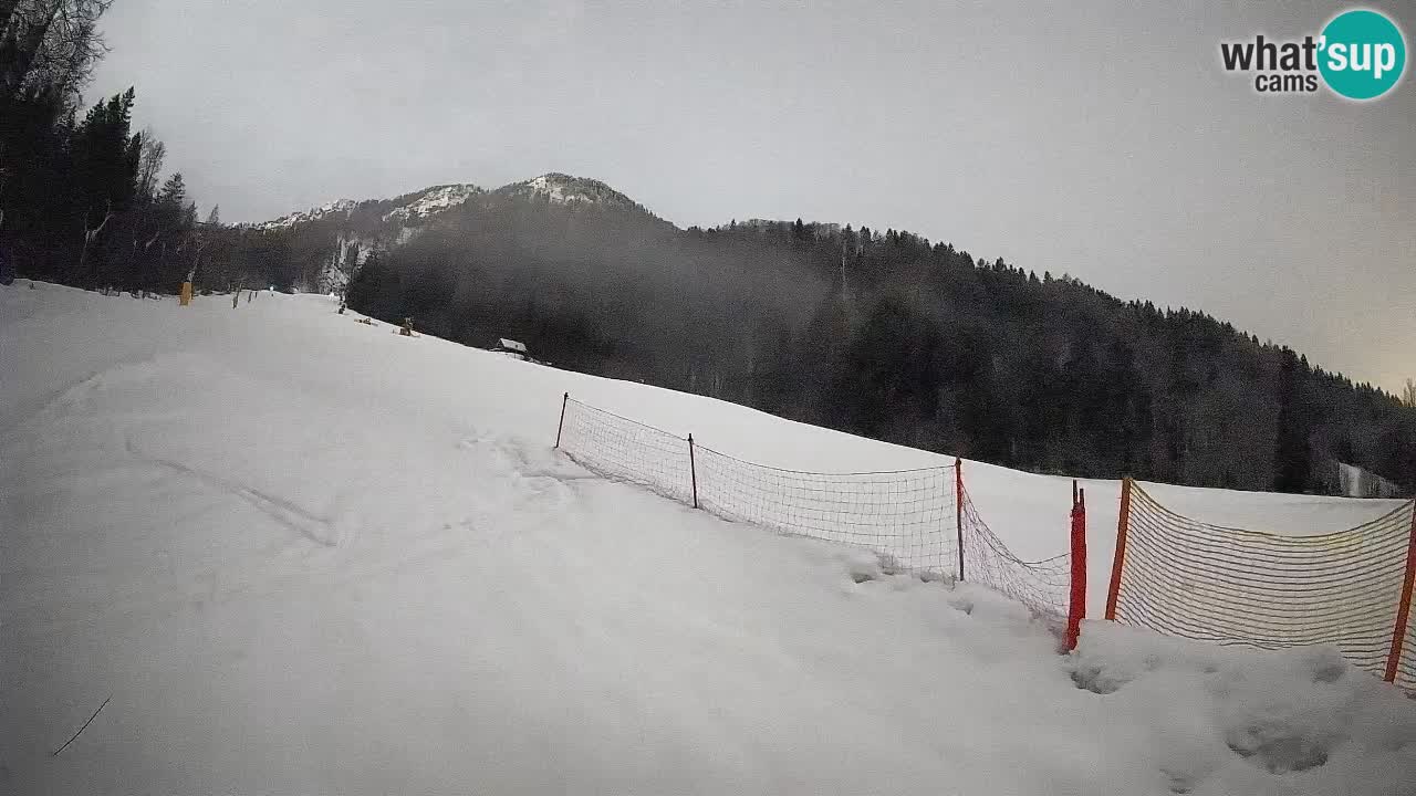 Comprensorio sciistico Kranjska Gora | Brsnina