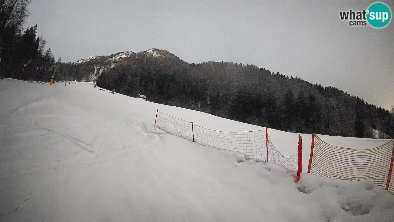 Esquí Kranjska Gora | Brsnina