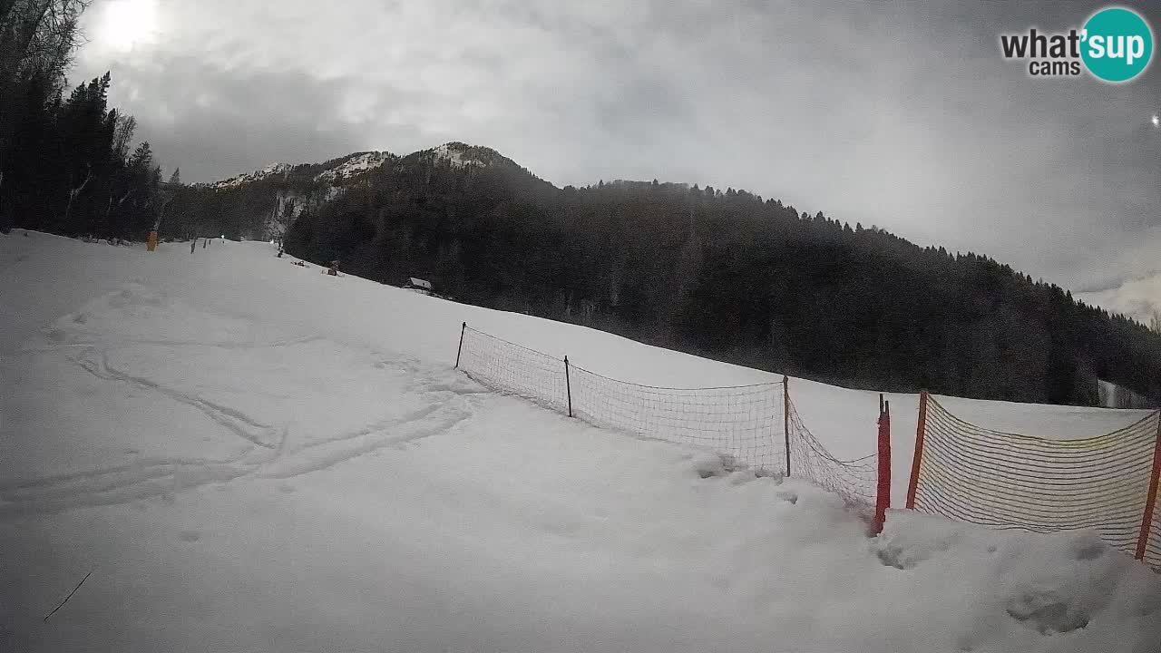 RTC Kranjska Gora | Brsnina