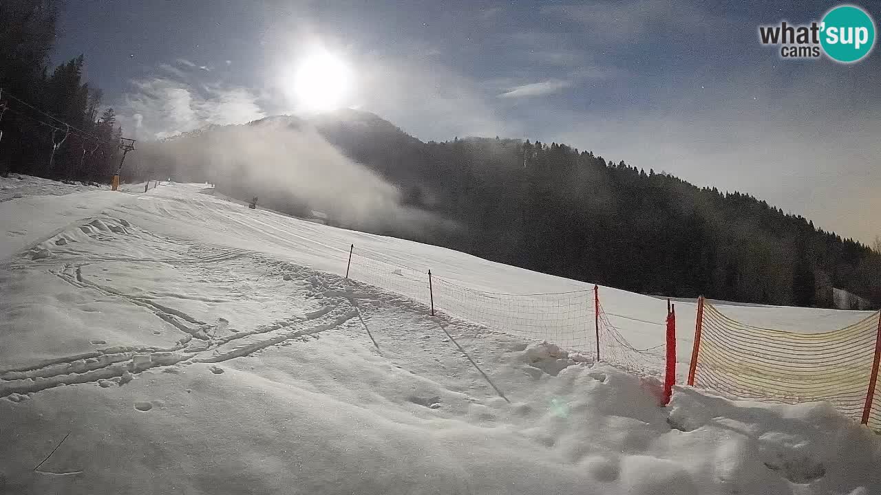 RTC Skigebiet Kranjska Gora | Brsnina