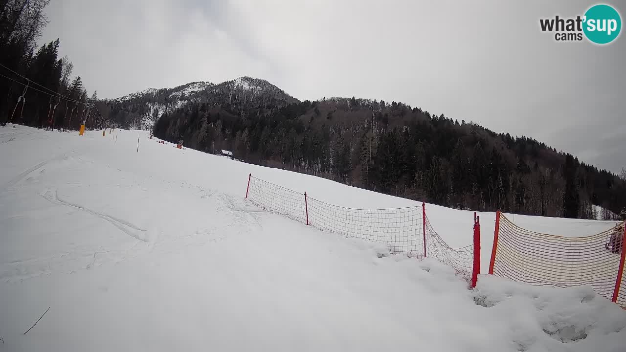 RTC Kranjska Gora | Brsnina
