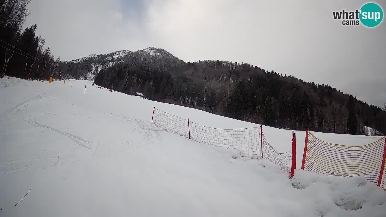 RTC Skigebiet Kranjska Gora | Brsnina