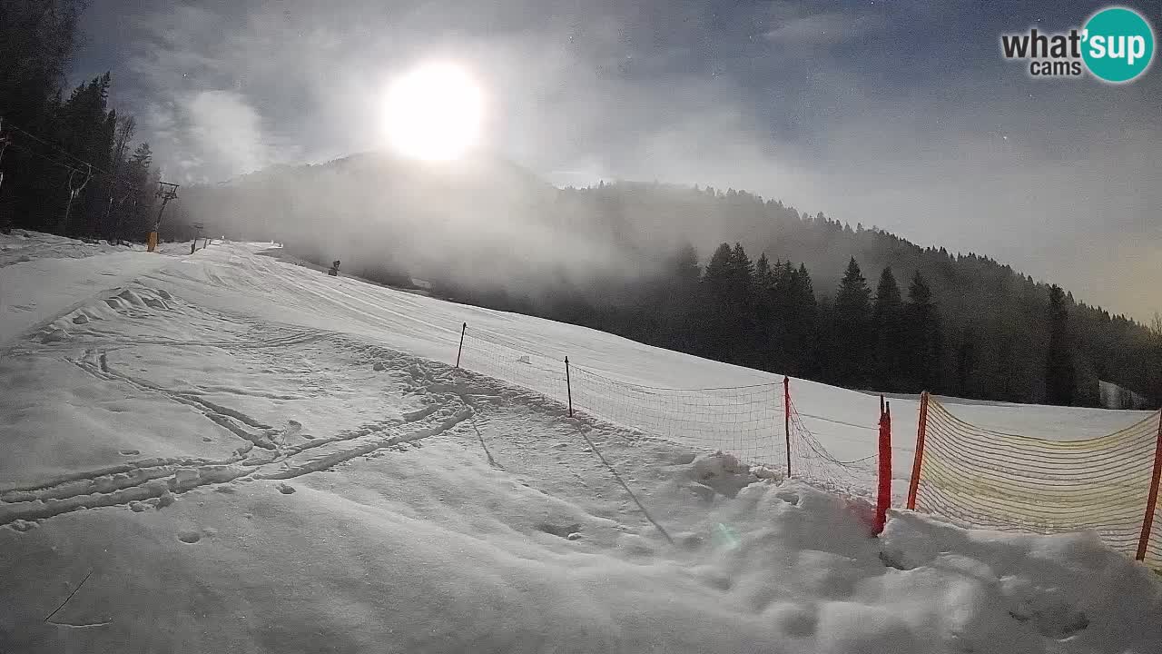 Kranjska Gora Station de ski | Brsnina