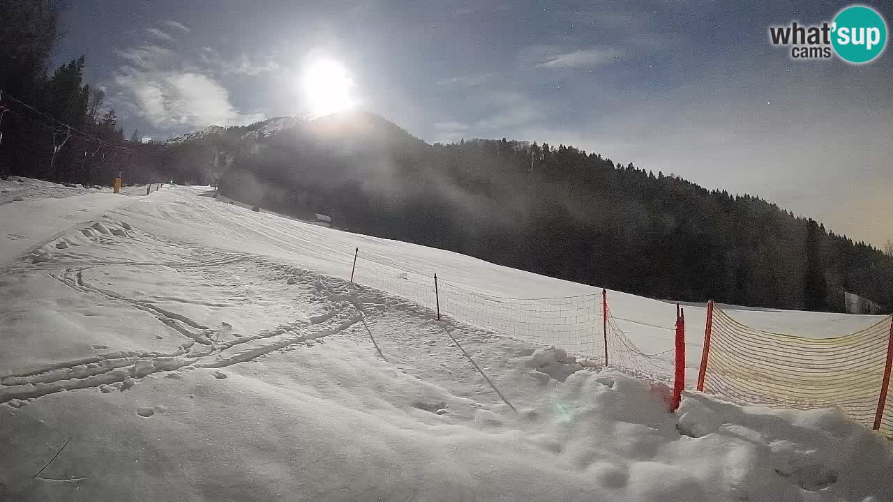 Kranjska Gora SKIJANJE | Brsnina