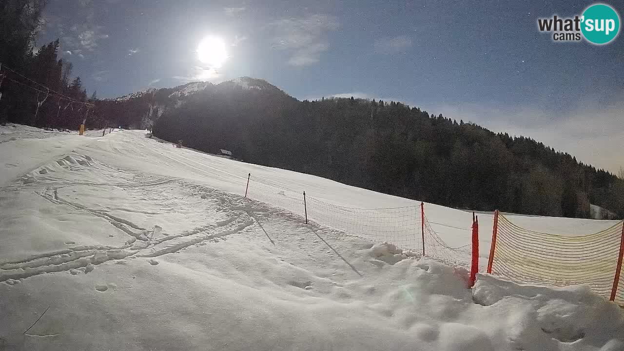 RTC Kranjska Gora | Brsnina