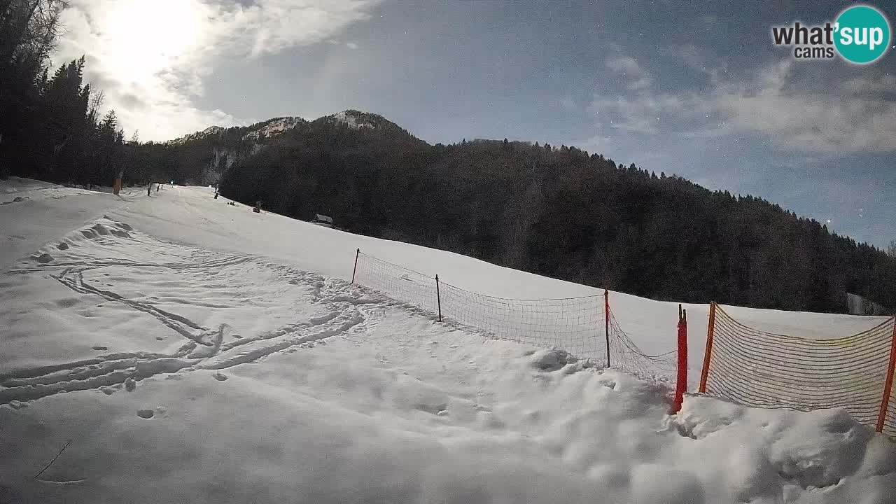 Kranjska Gora Station de ski | Brsnina