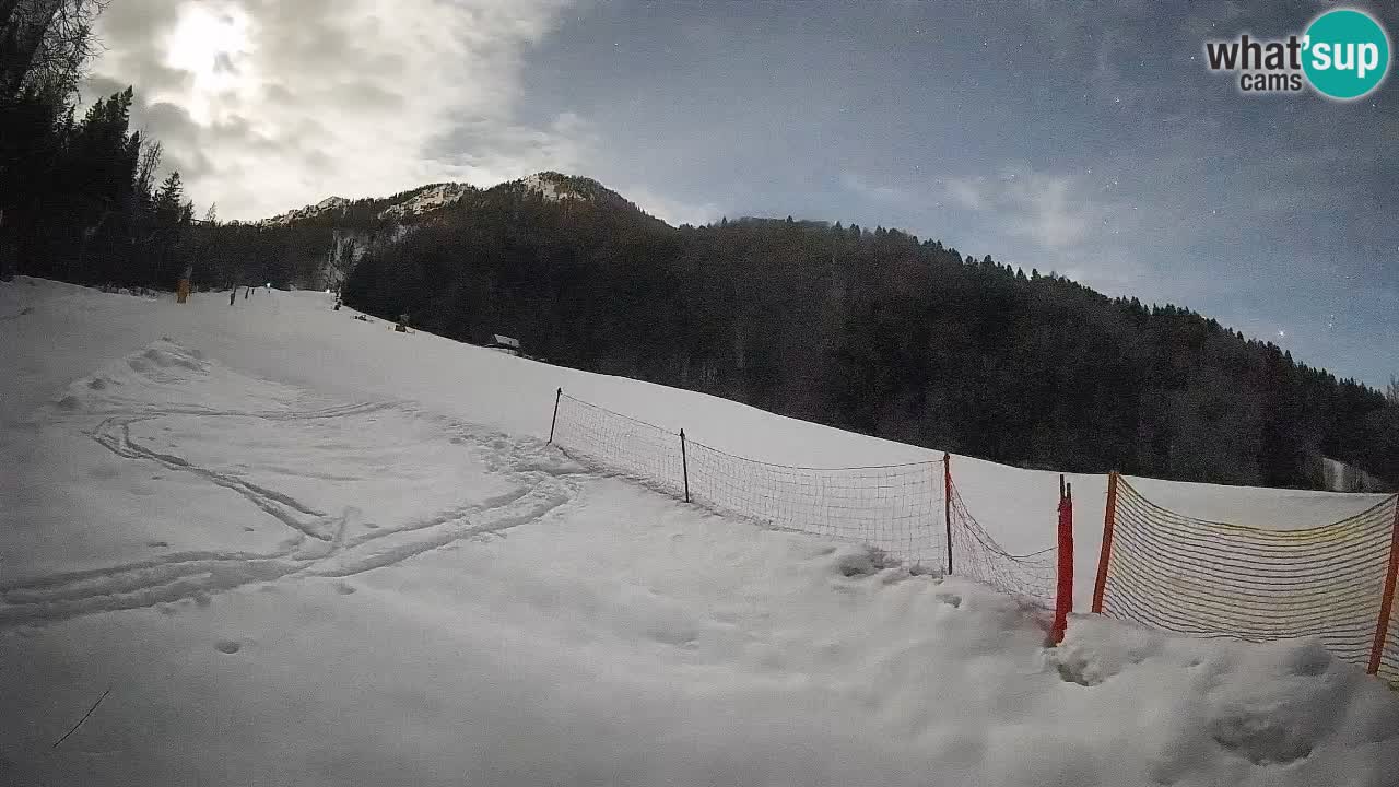 RTC Skigebiet Kranjska Gora | Brsnina