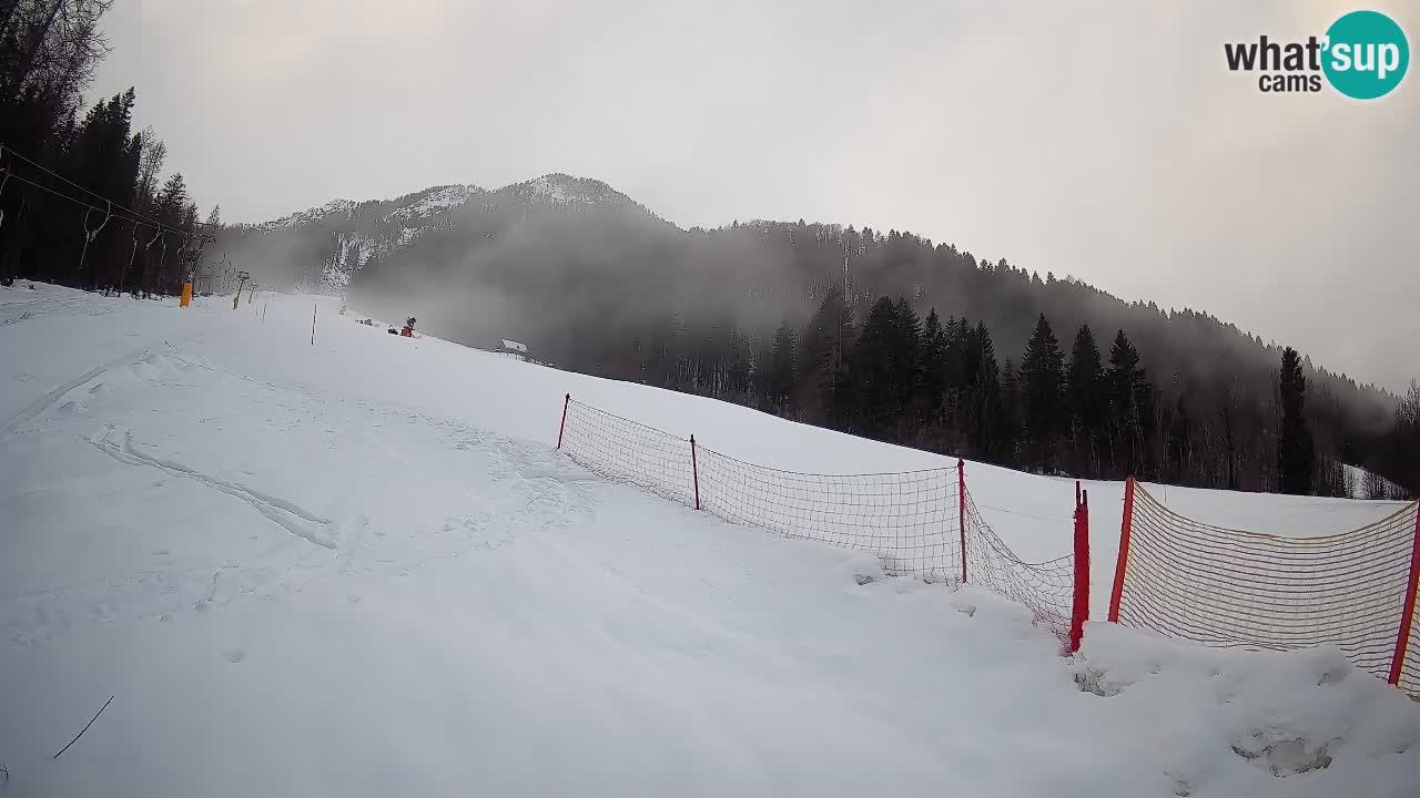 Comprensorio sciistico Kranjska Gora | Brsnina