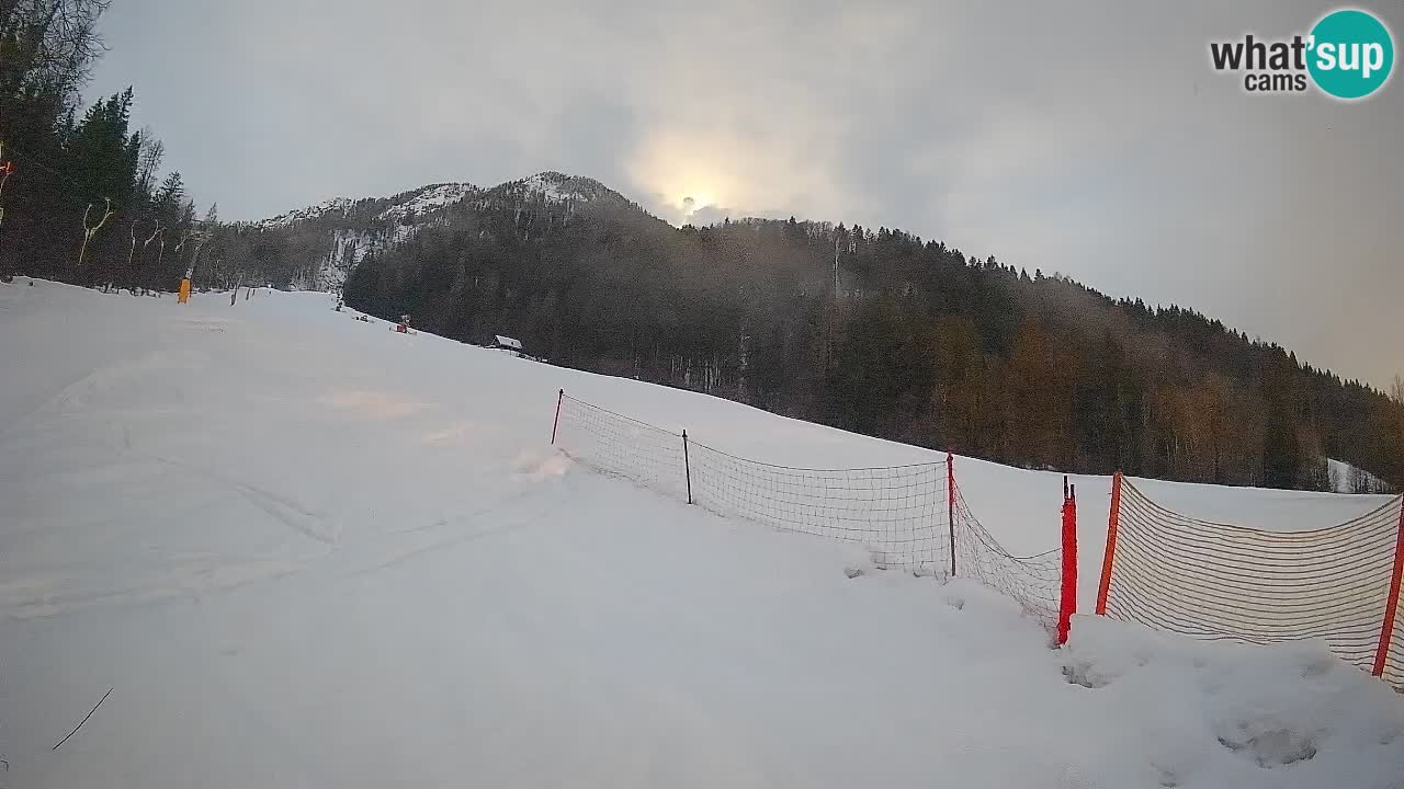 Ski Kranjska Gora | Brsnina