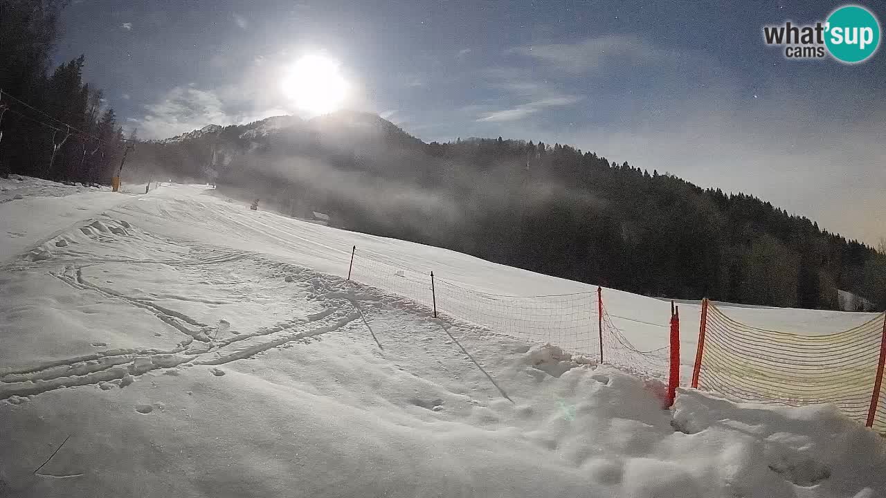 RTC Skigebiet Kranjska Gora | Brsnina