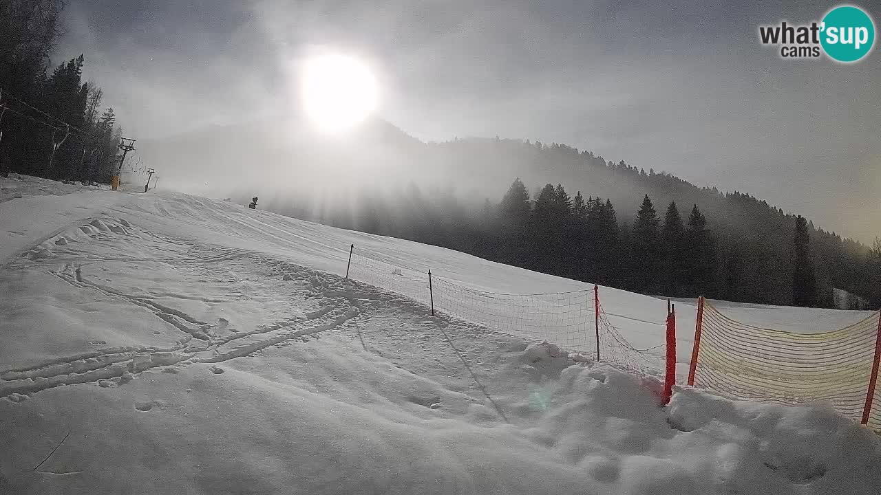 Kranjska Gora Station de ski | Brsnina