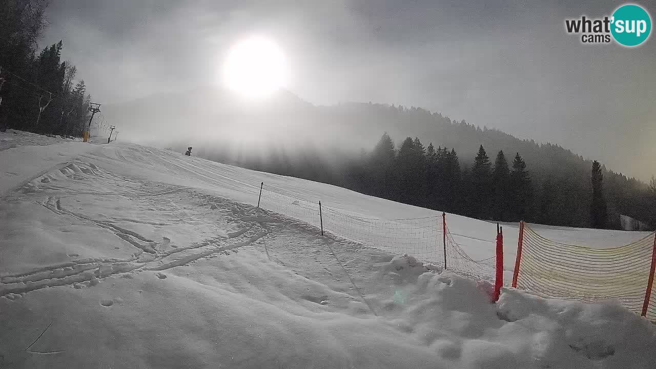 Comprensorio sciistico Kranjska Gora | Brsnina