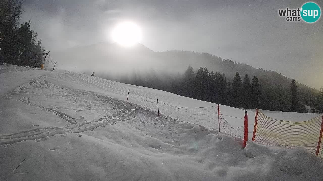 RTC Skigebiet Kranjska Gora | Brsnina