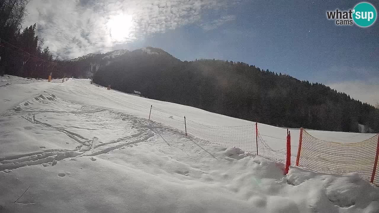 Kranjska Gora SKIJANJE | Brsnina