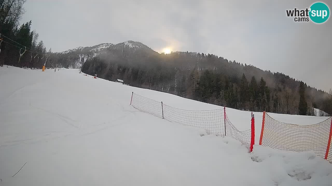 Kranjska Gora SKIJANJE | Brsnina