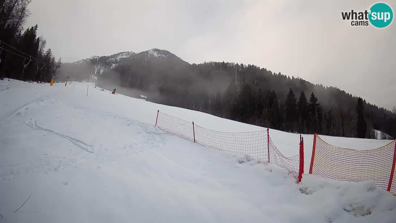 Kranjska Gora Station de ski | Brsnina