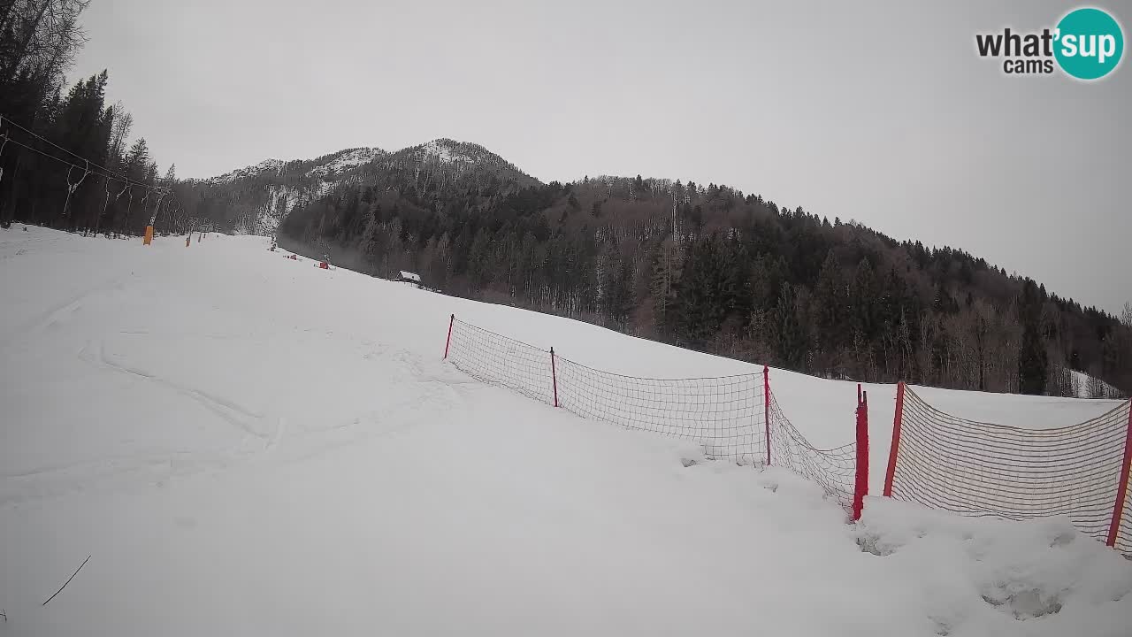 Esquí Kranjska Gora | Brsnina