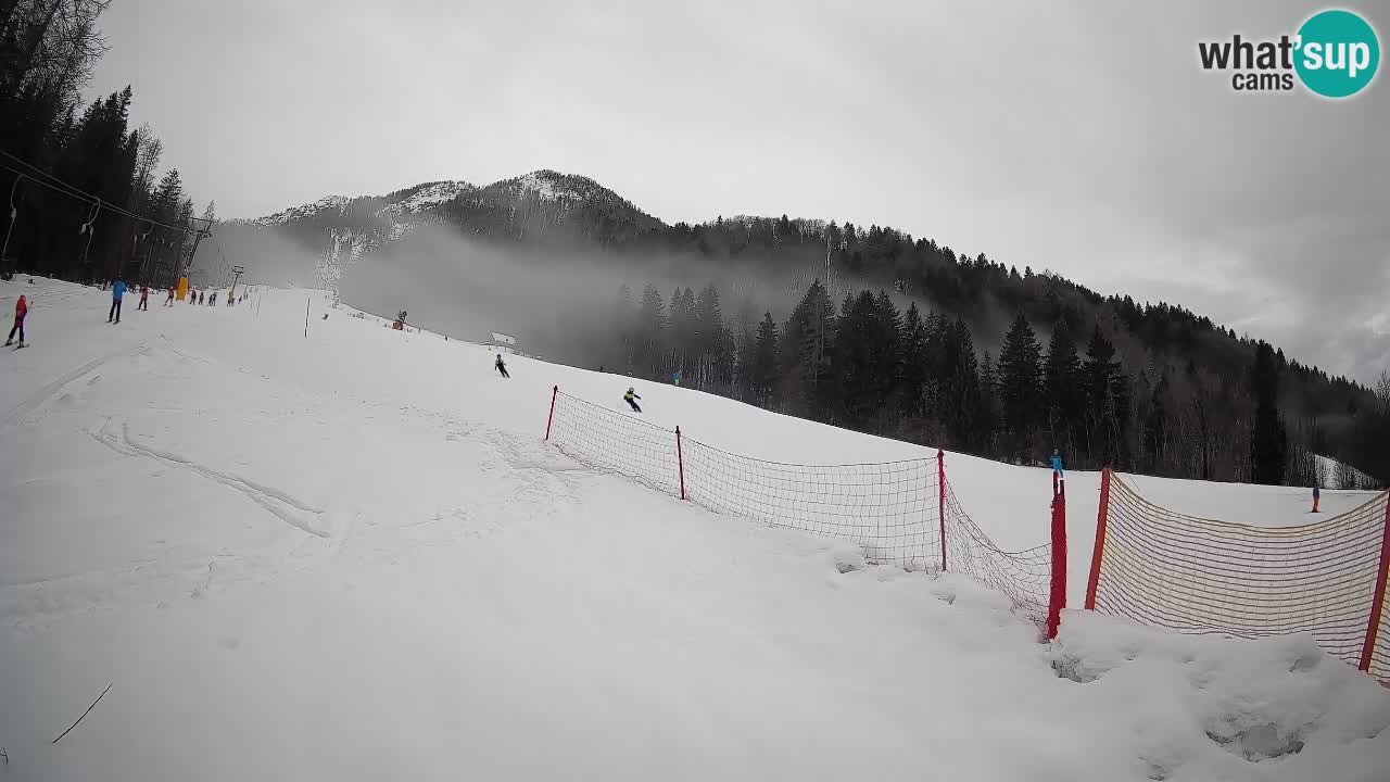 Kranjska Gora Station de ski | Brsnina