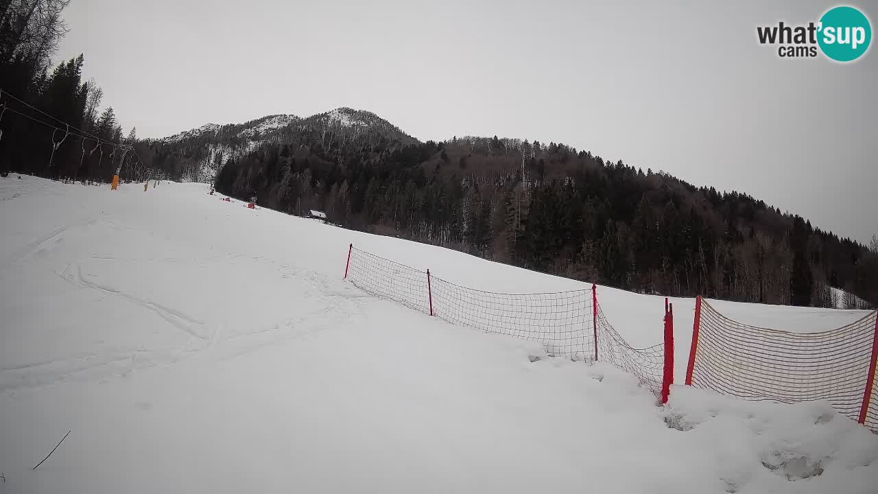 RTC Skigebiet Kranjska Gora | Brsnina
