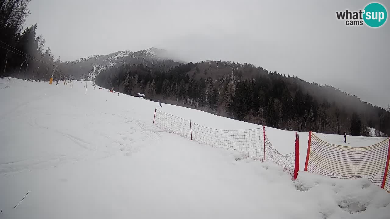 Ski Kranjska Gora | Brsnina