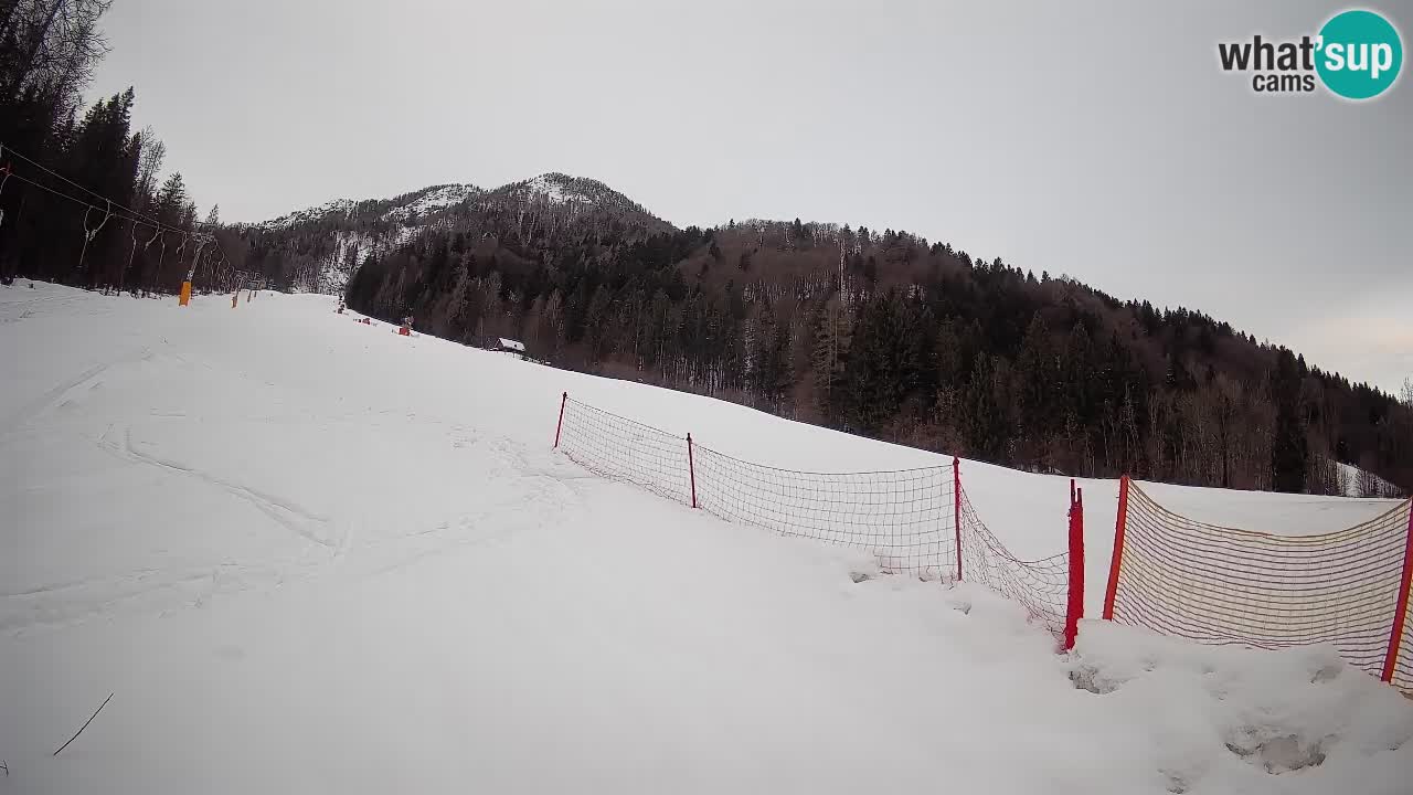 Kranjska Gora Station de ski | Brsnina