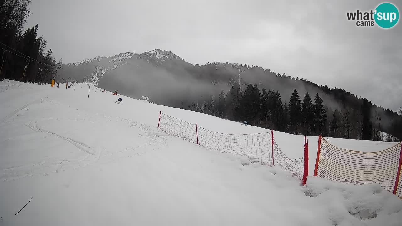 Esquí Kranjska Gora | Brsnina