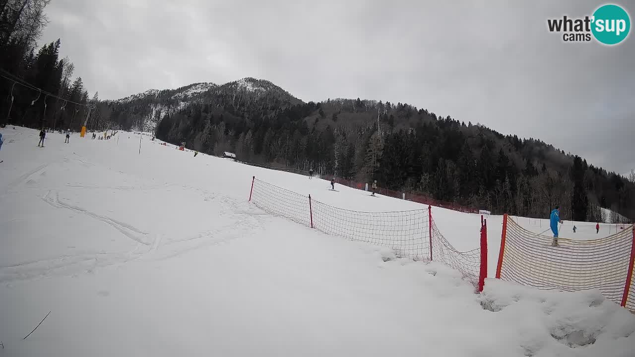 Ski Kranjska Gora | Brsnina