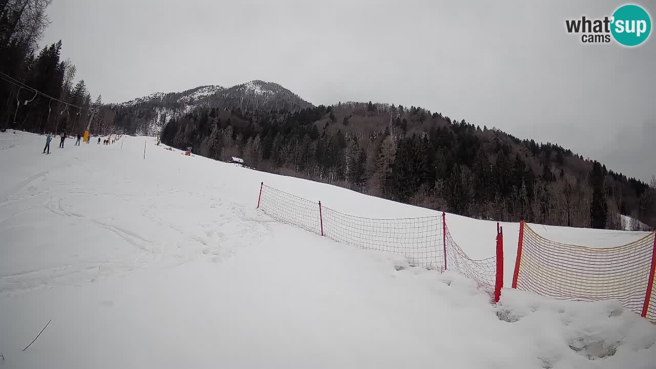 Kranjska Gora SKIJANJE | Brsnina