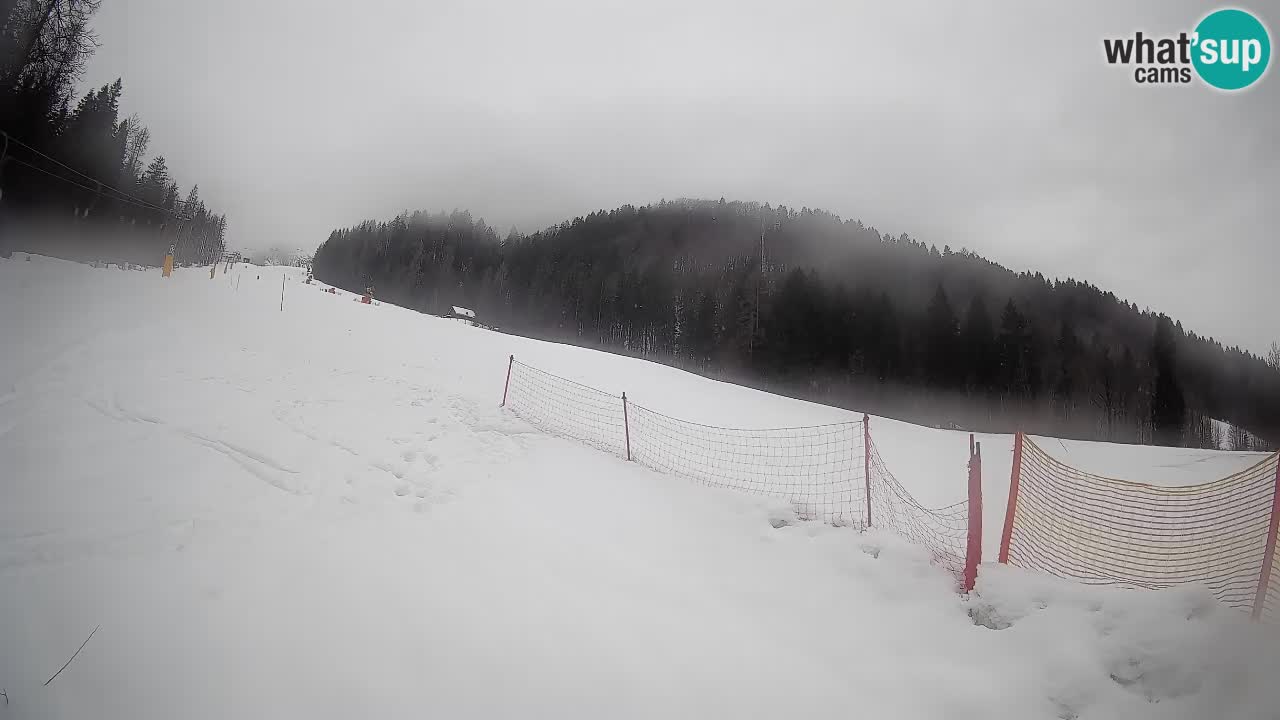 Kranjska Gora SKIJANJE | Brsnina