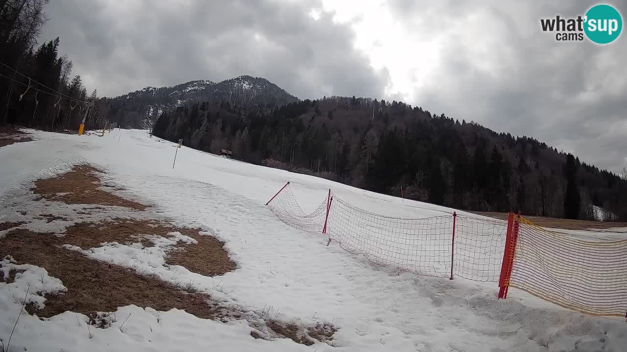 Ski Kranjska Gora | Brsnina