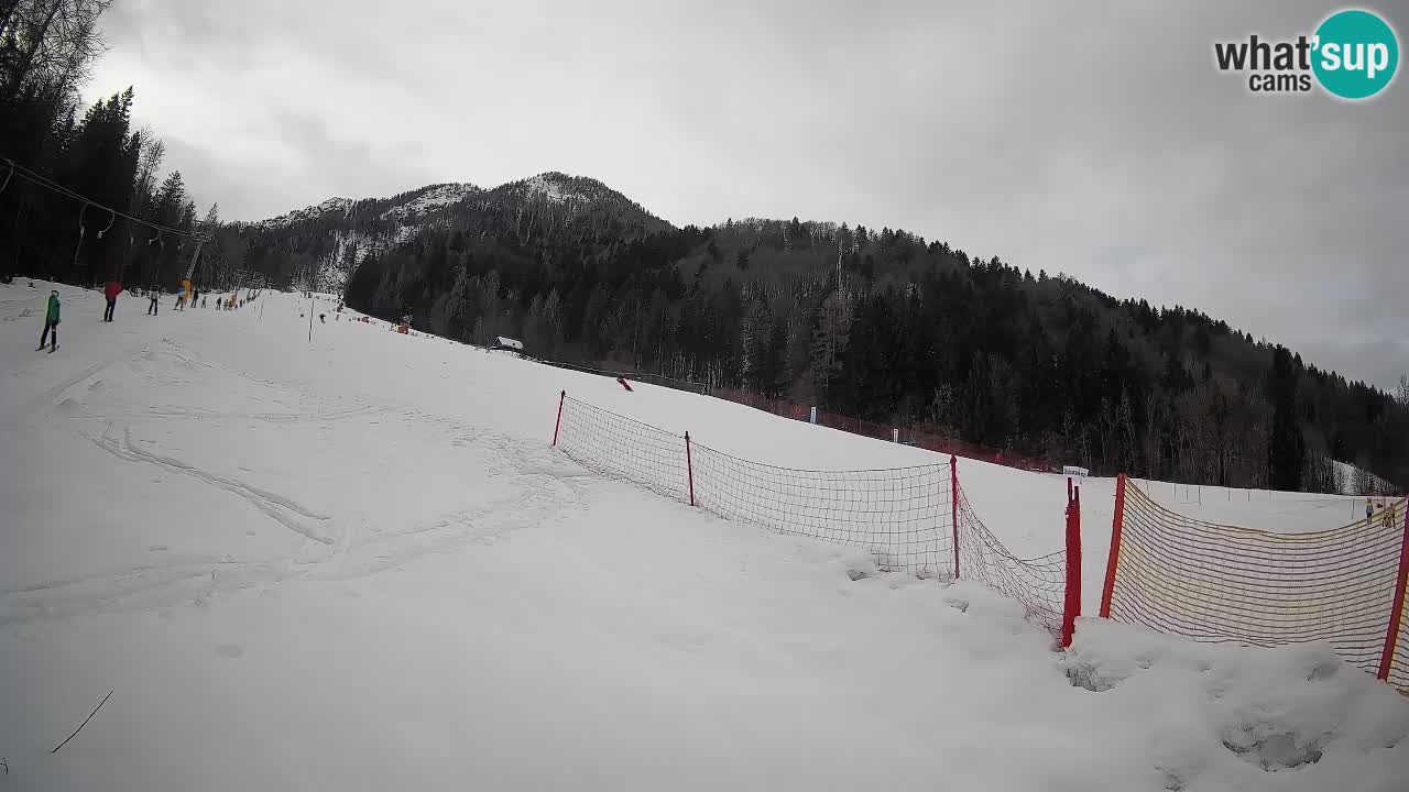 RTC Kranjska Gora | Brsnina
