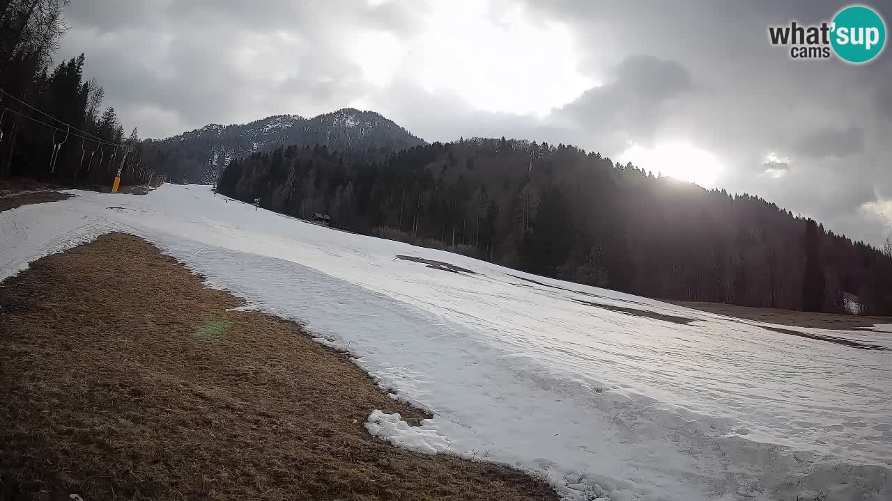 Comprensorio sciistico Kranjska Gora | Brsnina