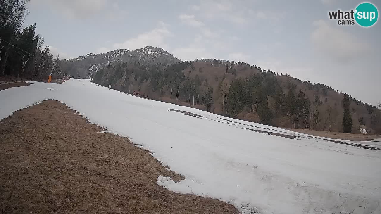 Ski Kranjska Gora | Brsnina