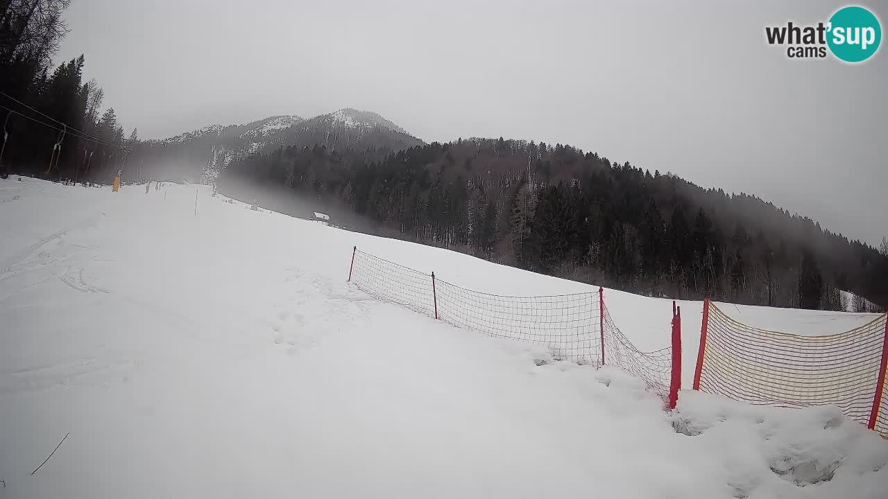 Ski Kranjska Gora | Brsnina