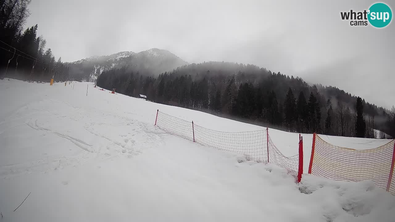 RTC Kranjska Gora | Brsnina