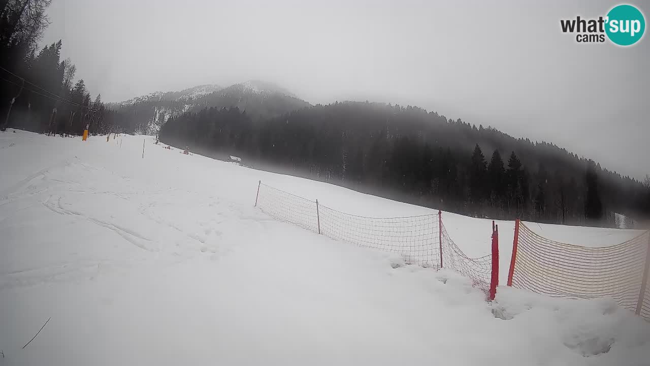 Kranjska Gora Station de ski | Brsnina
