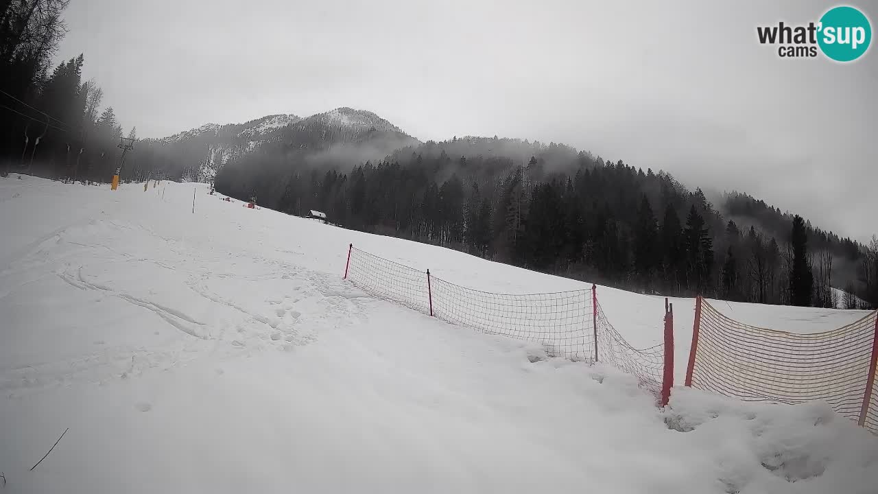 RTC Skigebiet Kranjska Gora | Brsnina