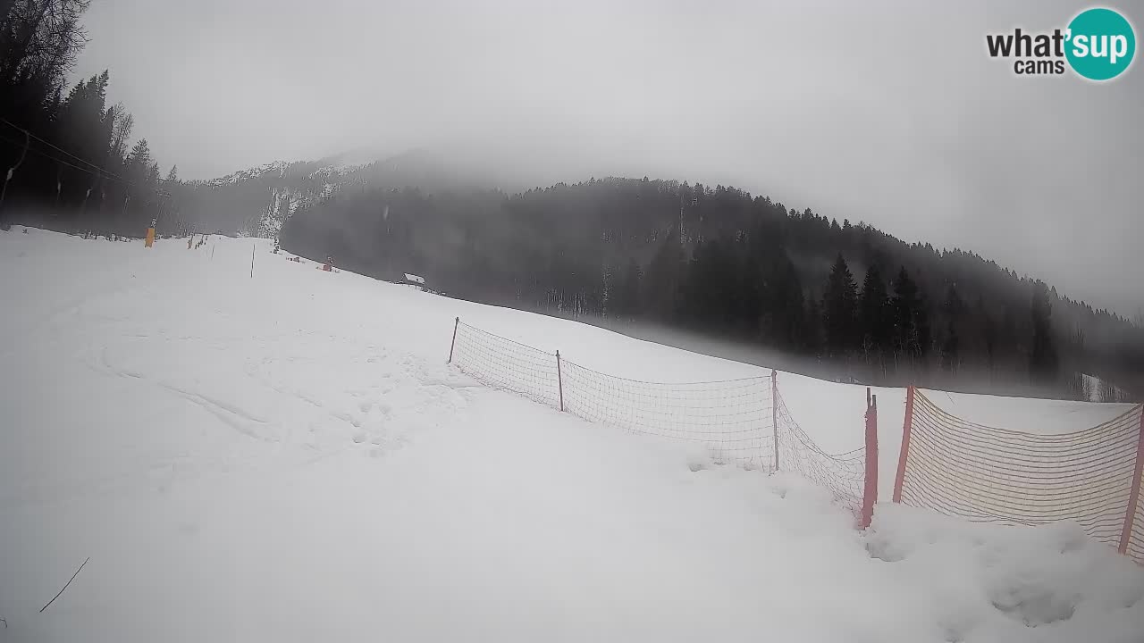 Comprensorio sciistico Kranjska Gora | Brsnina