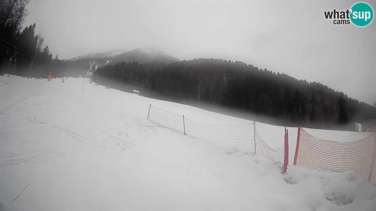 RTC Kranjska Gora | Brsnina
