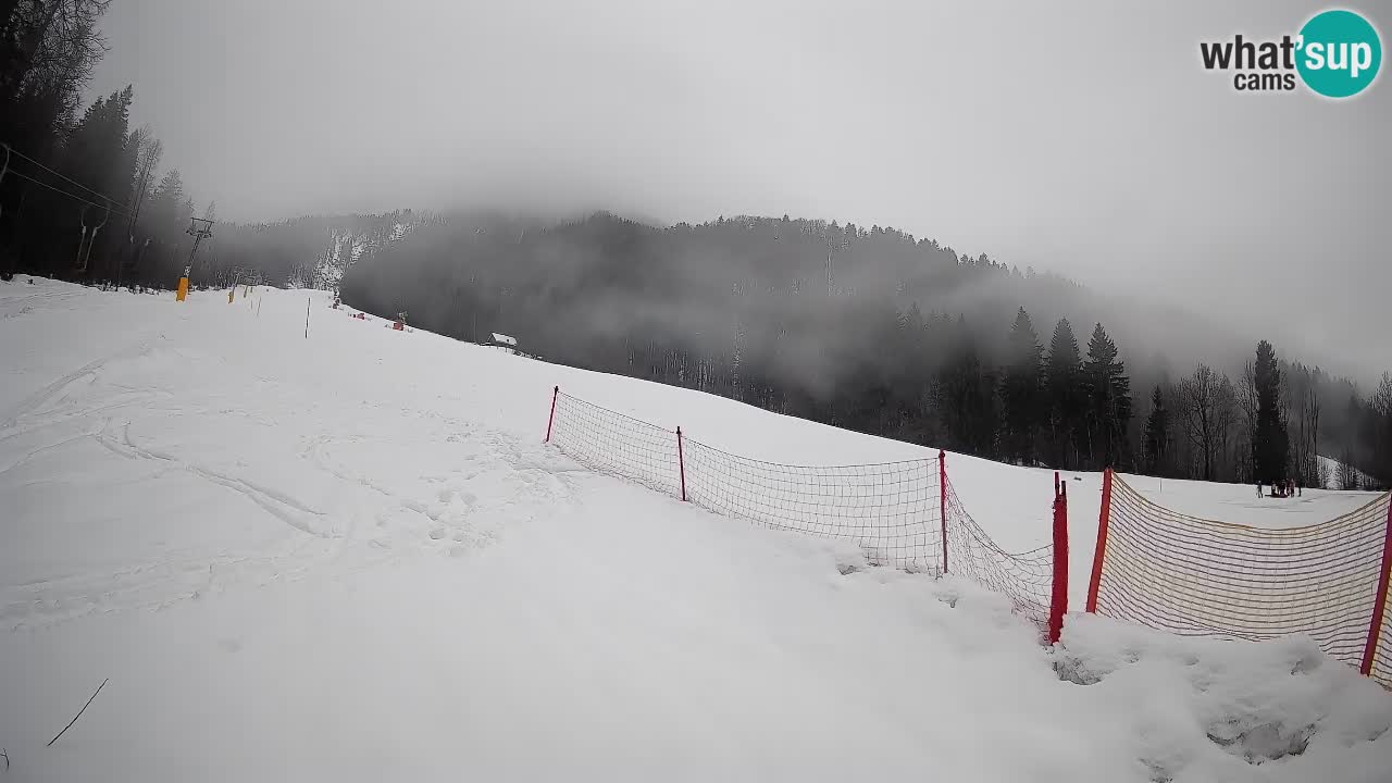 Ski Kranjska Gora | Brsnina
